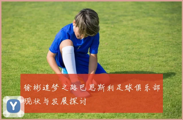 徐彬追梦之路巴恩斯利足球俱乐部现状与发展探讨