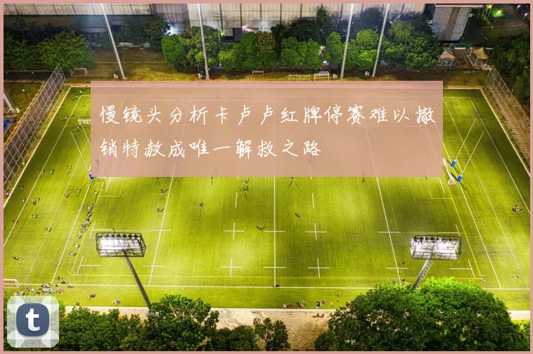 慢镜头分析卡卢卢红牌停赛难以撤销特赦成唯一解救之路