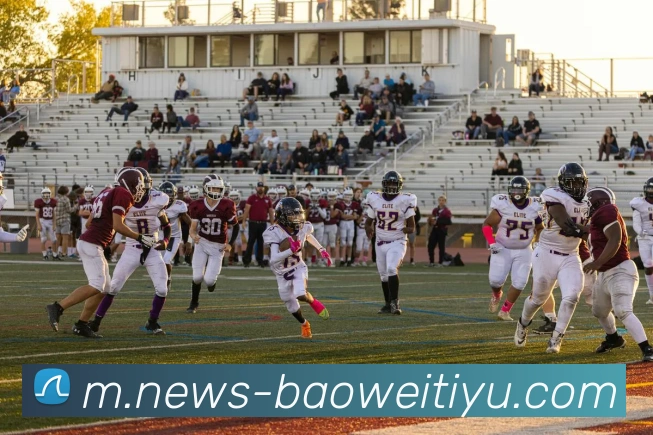 宝威体育平台生态图