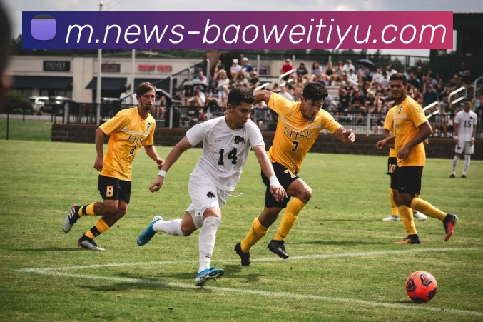 宝威体育APP 封面图